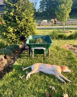 Jonathan Knight Instagram - Naps on the job while Dad does all the work. 🤦🏻‍♂️
