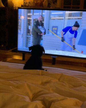Jonathan Ross Instagram - Our new boy, Spooky, likes watching tv.