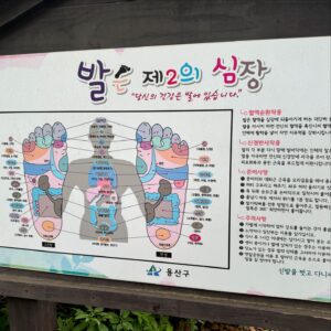 Jonathan Thona Yiombi Instagram - 좋은 아침이다 진짜! 요즘은 일찍 눈이 떠진다 왜 그러는지는 모르겠다 그렇게 노력해도 늦잠을 자다가 알아서 일찍 일어나지니 신기하고 거스르기는 싫다 이 흐름을 계속 타야 할 거 같다! 내가 제일 일찍 일어났다고 자신하며 나왔는데 운동장에 도착한 순간 누군가는 벌써 운동을 마치고 나가는 걸 보고 저게 가능한가 싶었다 대단한 사람들은 너무 많다 더 겸손해야 할거 같다 ;; 하지만 하루를 멋지게 시작한 나도 너무 멋있다 조나단은 정말 멋지다!
 좋은 하루 보내게요들!