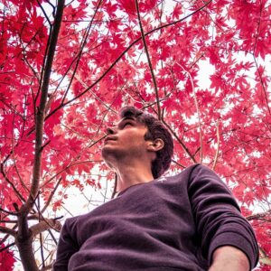 Jonathan Whitesell Instagram - Impermanence (無常) 🍃
