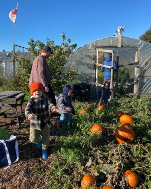 Jonnie Irwin Instagram - Probs should’ve stayed inside with my chest infection but would’ve got too much FOMO missing out on visiting uncle @maccaholmes allotment. Sometimes I need a push and seeing the lads enjoy picking some apples, and pumpkins was superb. Unfortunately feeding @jessofjesmond obsession with Halloween is a downside!
#allotment #homegrown #pumpkin #halloween #familytime #toon #greenfingers