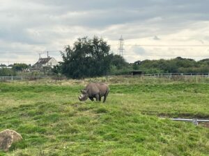 Jonnie Irwin Instagram - Just back from an incredible couple of days and a night at @yorkshirewildlifepark . Really well thought out for families with the animals, ranger talks, live shows and on site accom. I’d definitely recommend the trip for families as it was one of the most fun weekends we’ve done and the boys were constantly engaged.  Lots of space. Top marks to all the staff and @wildlife_fdn who create a great experience for everyone. We’ll be back!