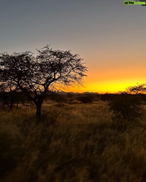 Jonny Fischer Instagram - Unheimlich beidruckende Usflug in d Kalahari. D Schönheit vo de Natur wo eim demüetig macht. #blessed #happy #überwältigt #kalahari #safari #southafrica #nature #instagay @michi_eats_out @tswalu