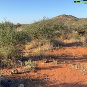 Jonny Fischer Instagram - Unheimlich beidruckende Usflug in d Kalahari. D Schönheit vo de Natur wo eim demüetig macht. #blessed #happy #überwältigt #kalahari #safari #southafrica #nature #instagay @michi_eats_out @tswalu