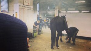 Jonny Lee Miller Instagram - Had the honour of getting a tour of Knightsbridge barracks the other day, and visiting the Household Cavalry! It’s a village unto itself in the heart of London. The farriers shop is like stepping back in time and the skill, pride and history in all the departments, from tailors to leather works is incredible. Many thanks to all for the hospitality and especially @c_newby_ ! #householdcavalry #lifeguards #bluesandroyals