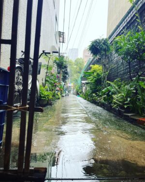 Jordan Calloway Instagram - Kuromon Market ✅
Nara Park ✅
Todai-ji Temple ✅✅✅
All done in my Tanjiro shorts ☔️… first time ever being in a typhoon 🤪