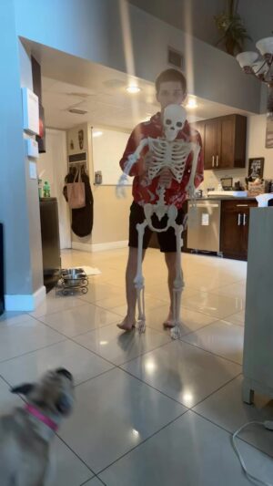 Jordan Clark Instagram - She did not like him 💀 #reelsinstagram #halloween #skeleton #frenchbulldog #frenchie #frenchiesofinstagram