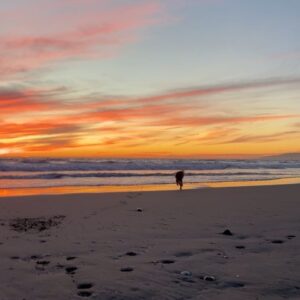 Jordan Connor Instagram - 🌅