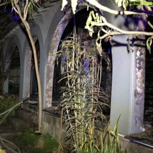 Jordan Shanks Instagram - My House Was Firebombed. Update on youtube.