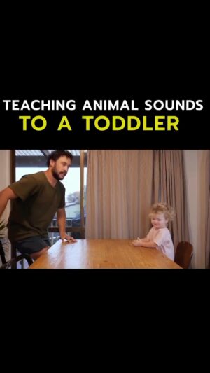 Jordan Watson Instagram - Teaching Animal Sounds to a Toddler 🐒
#parenting #dadlife #toddler #howtodadnz