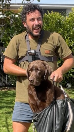 Jordan Watson Instagram - How to fly with a dog 
#dogtravel #dogsonplanes #labrador #choclab #puppy #dogstuff