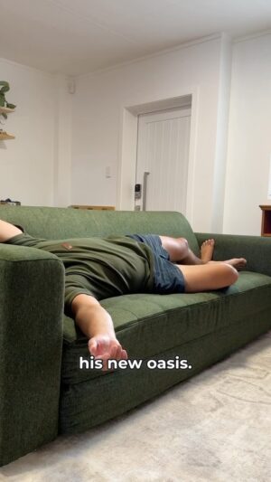 Jordan Watson Instagram - David Attenborough asked for this not to be published. 
#LifeofaDad #dadlife #Ecosa #sofabed #howtodadnz
