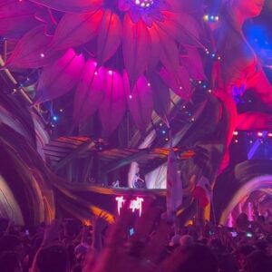 Jordan Whitley Instagram - A truly unforgettable weekend at #EDCOrlando