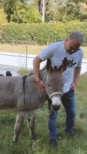 Jorge Javier Vázquez Instagram - Bienvenido a casa, Fortunato.