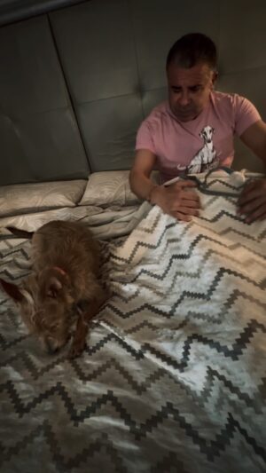 Jorge Javier Vázquez Instagram - Y mañana dios dirá.