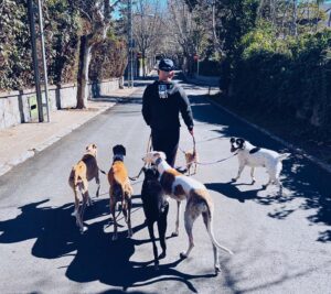 Jorge Javier Vázquez Instagram - Vamos amarraditos los siete