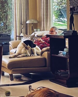 Jorge Javier Vázquez Instagram - Robado.