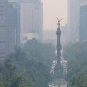 Jorge Luis Moreno Instagram - Entre contingencias ambientales, situaciones pre post apocalípticas, y conspiranoias, me pongo a ver la situación en la que está nuestra ciudad y es evidente que esto es un reflejo de lo que está sucediendo en nuestro planeta a nivel global. Y que cada uno de nosotros ha sido responsable en menor y mayor grado. Y así como consciente o inconscientemente hemos sido responsables por el evidente deterioro de nuestro planeta, creo que es labor de nosotros participar, poner nuestro granito de arena para mejorar el panorama. Imagínense, empecemos por algo sencillo, sin tener que hacer grandes sacrificios ni esfuerzos, qué pasaría si levantamos una basura que encontremos en la calle, en un día, en la CDMX. En teoría, si todos lo hiciéramos podríamos multiplicar el resultado por 20 millones, a cuántas toneladas de basura esto representaría. Que si todos los días uso el carro para ir al trabajo, un día que lo deje de usar para ir en transporte público y no porque “hoy no circulo”, sino porque sea un día que yo regale por el bien de todos. Roomies, vecinos, amigos, compañeros de trabajo, pueden compartir el coche, en lugar de usar uno por persona. Hay trayectos en los que en verdad podríamos recorrerlos caminando o en bicicleta,etc. Un día a la semana que podamos recolectar el agua con la que nos bañamos y usarla para limpiar, trapear, no sé. Empezar con decisiones sencillas, sin tener que hacer grandes sacrificios que se nos hagan un martirio adaptarlas a nuestras ocupadas vidas. Porque creo que esa es la clave, todo este tipo de acciones tendrían que nacer de nuestra intención sin imposición. Y me lo digo a mi también, porque no tenemos que esperar a que nuestros gobernantes actúen. Es verdad, SÍ tenemos que exigir mejores servicios, mejores condiciones, mayor seguridad. Pero sería distinto plantear la necesidad a las autoridades correspondientes, a solo criticar y no hacer nada (otra vez, me incluyo). Yo sé que podríamos encontrar mil y un razones, lo que falta por hacer, pero hacer sólo eso no nos lleva a nada, más que a la apatía. Es momento de actuar, exigir SÍ, pero no dejar de actuar....(continúa en el comentario)