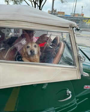 José Andrés Chiluiza Calderón Instagram - Dime con quien andas y te diré quién eres.. 🐶 🚘