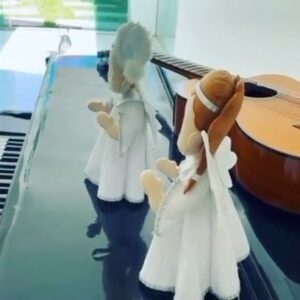 José Augusto Instagram - Um lindo sábado para todos nós! 

#joseaugusto