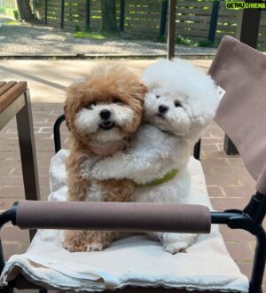 Jose 'Boy Boi' Tena Instagram - a deeper love
