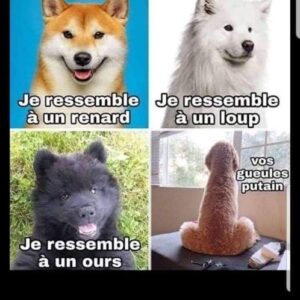 José Garcia Instagram - Bonne journée
