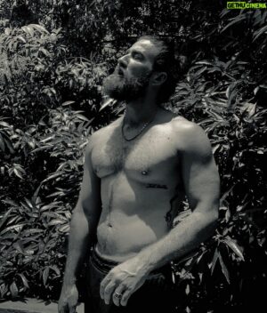 José Luis Badalt Instagram - 🦍 We are the stars which sing
We sing with our light;
We are the birds of fire,
We fly over the sky.
Our light is a voice;
We make a road for the spirit to pass over…
