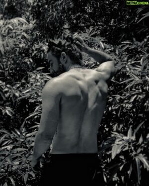 José Luis Badalt Instagram - 🦍 We are the stars which sing
We sing with our light;
We are the birds of fire,
We fly over the sky.
Our light is a voice;
We make a road for the spirit to pass over…