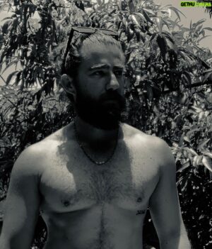 José Luis Badalt Instagram - 🦍 We are the stars which sing
We sing with our light;
We are the birds of fire,
We fly over the sky.
Our light is a voice;
We make a road for the spirit to pass over…