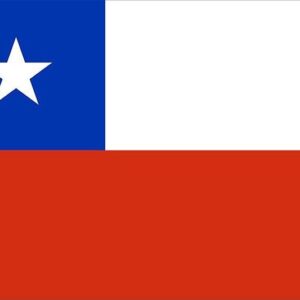José Luis 'El Puma' Rodríguez Instagram - Dolor en mi alma por la tragedia de tantas familias chilenas.
Querido Chile, cuando lloras yo lloro
