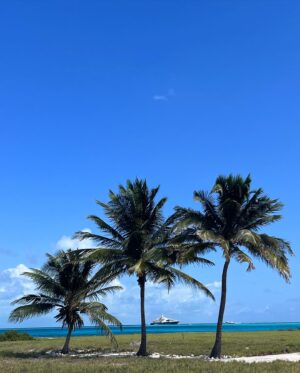 José María Torre Instagram - Segunda vez en este Paraíso increíble de la Venezuela querida #LosRoques tremenda naturaleza , playas virgenes, fundación de tortugas ,gente chevere, una vaina loca ejte lugar
Preparándose pa 2024