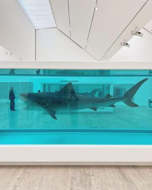 José María Torre Instagram - De las cosas que valen la pena al 1000% impresionante la Expo en el @museojumex de uno de los artistas mas transgresores y talentosos que más inspiran y que más me inspiraron …..el máster @damienhirst cuando vi por primera vez al Tiburón Tigre en el TATE museum me quede loco… vaya pieza en formol!!
Aquí un par de mis piezas favoritas incluyendo “for the Love of God” con su sobredosis de Diamantes!

Imperdible de verdad …..Aplauso de pie!!!
Gracias querida @ruthvich eres la mejor!!
Felicidades Eugenio que cosa de verdad!!! ❤️
