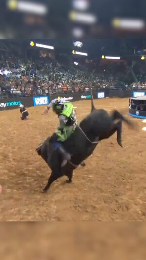 José Vitor Leme Instagram - ANOTHER 90 POINT RIDE FOR @JOSEVITORLEME 🗣

José Vitor Leme notches his 76th 90-point ride with an epic spin on Roc Wit It.

#MonsterEnergy #PBR #Bull #BullRiding