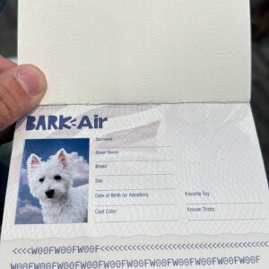 Josh Groban Instagram - Ok so I will always appreciate any company that wants to make pets happy. Honestly a dog friendly airline is something I have been wanting to see for a very very long time. Most airlines have made it so insanely difficult and stressful to travel with pets now, leaving me with such little trust or options (and that’s with a small dog!). When @barkair was announced and I needed to get cross country with my dude George I truly was excited to try it. This isn’t an ad. I loved it. The dogs were all super chill and excited to hang with each other and be pals and the crew went above and beyond to make it fun and low stress for them. More of this great pet attitude at high altitude please! 🐶✈️