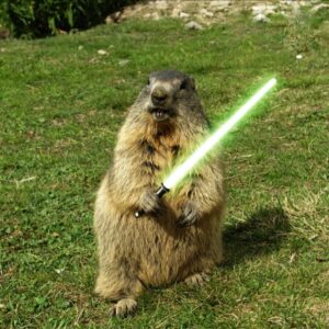 Josh Holloway Instagram - #MayThe4thBeWithYou during these never ending groundhog dayssssss