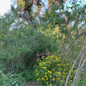 Josh Holloway Instagram - #HappyEarthDay 🌎