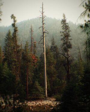 Josh Stewart Instagram - He died. And left no question where he stood.

#usinterior #publiclands