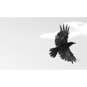 Josh Stewart Instagram - I like the way you fly.