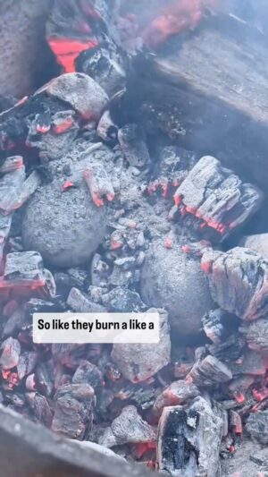Josh Thomas Instagram - All the things I cooked camping with my ma!