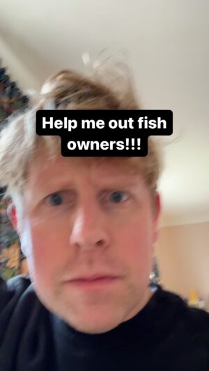 Josh Widdicombe Instagram - Fish help needed!