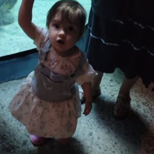 Joshua Ovenshire Instagram - Man, the #DenverAquarium is WAY cooler than the Long Beach Aquarium back home. Gwen loved every moment of it