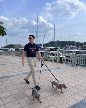 Joshua Tan Instagram - full time pawrent