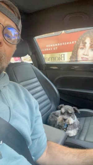 Juan Manuel Bernal Instagram - #adoptanocompres #animalovers #luka