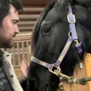 Juan Pablo Di Pace Instagram - Reunited with my beloved FIRE, a dancing Fresian horse I met 4 years ago while shooting “Dashiig in a December”. Thank you @brandice_brown_movie_dogs for your generosity and for coaching me on how to be with this gorgeous girl. It was really tough to say goodbye… when in Utah, Brandice is the horse whisperer for all things movies! She’s incredible with animals. And they adore her!