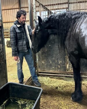 Juan Pablo Di Pace Instagram - Reunited with my beloved FIRE, a dancing Fresian horse I met 4 years ago while shooting “Dashiig in a December”. Thank you @brandice_brown_movie_dogs for your generosity and for coaching me on how to be with this gorgeous girl. It was really tough to say goodbye… when in Utah, Brandice is the horse whisperer for all things movies! She’s incredible with animals. And they adore her!