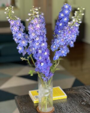 Juan Pablo Espinosa Instagram - Obsesionado con estas flores (Delphinium)
Este azul es raro en flores 💙
Les aconsejo ponerle hielo a sus flores en el agua! 
Van a ver cómo duran! 

Obsessed with these flowers (Delphinium) 
This blue is so rare in flowers 💙
A little tip, add ice to your flower water and see how much longer they last!