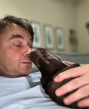 Juan Pablo Gamboa Instagram - 🐾Juanita
