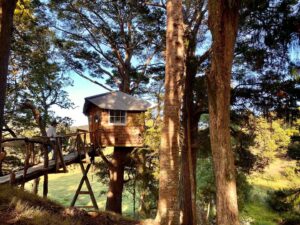 Judah Lewis Instagram - I think it’s safe to say our New Zealand treehouse was something special