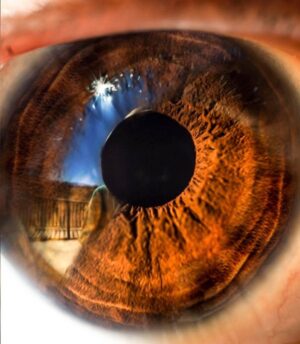Judah Lewis Instagram - Bit of a different take on an iris self portrait. Hint: left side of the pupil is my camera lens