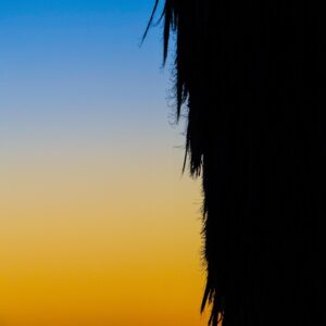 Judah Lewis Instagram - Some of my unedited favorites from Joshua Tree